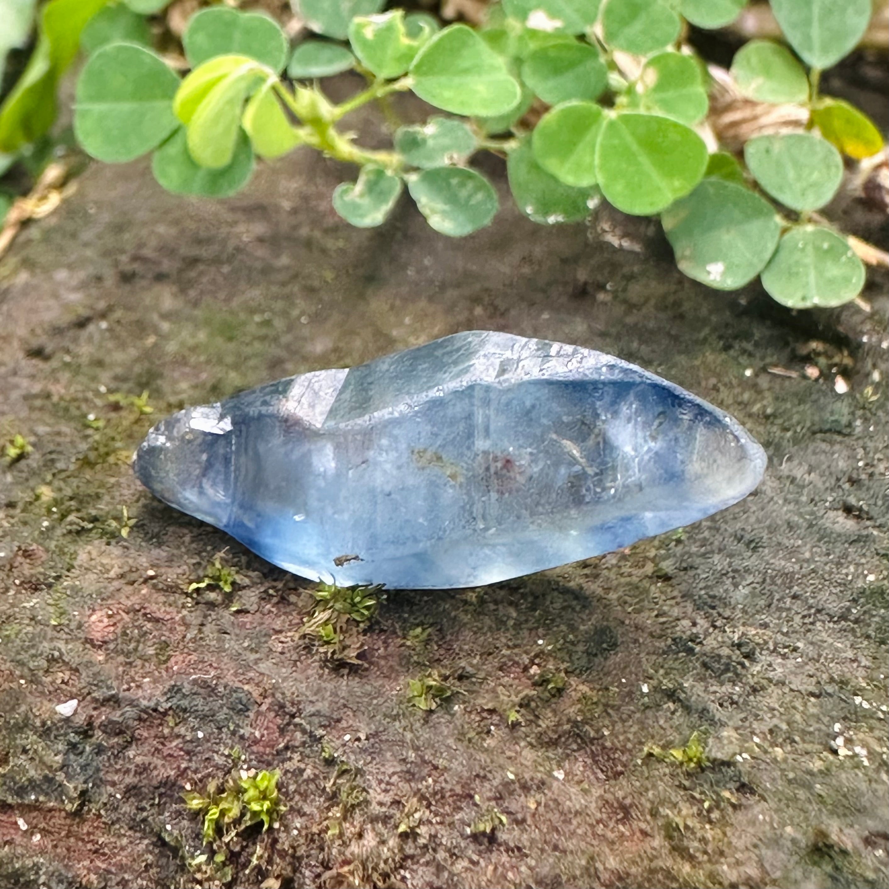 Natural Blue Sapphire Crystal 16.75 ct, Rough Gemstone - Sri Lanka