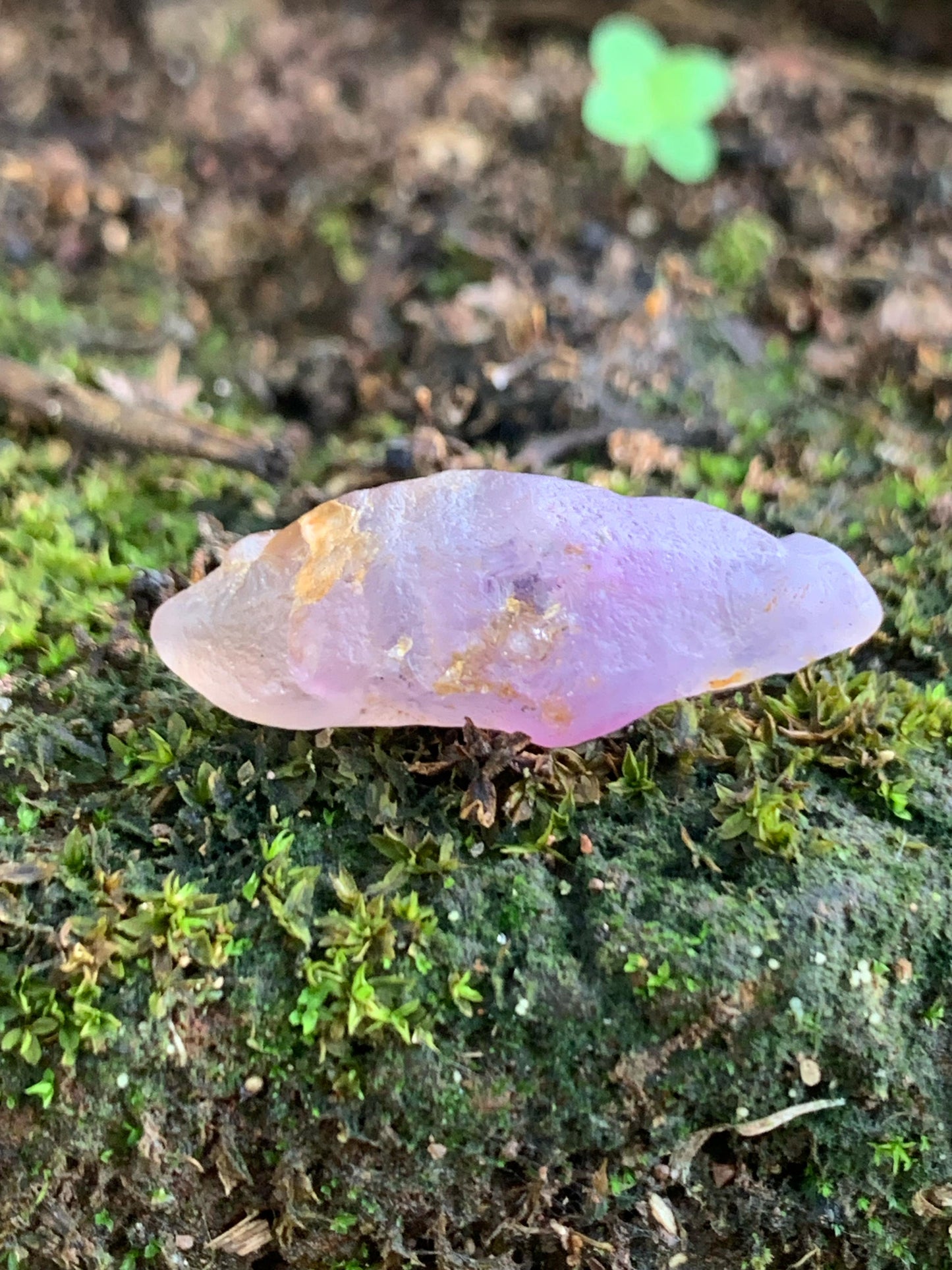 Lavender Sapphire Crystal – Nature’s Healing Touch