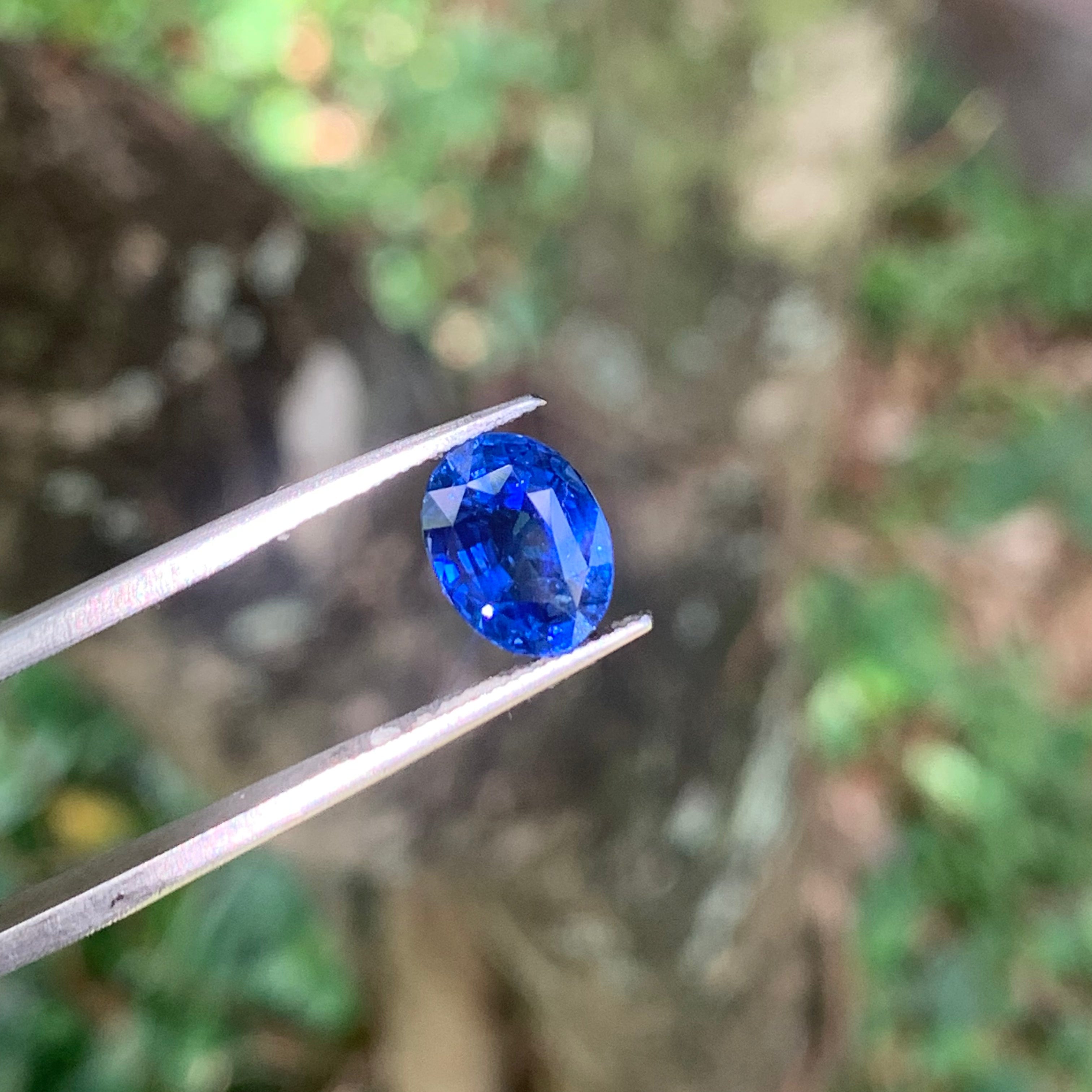 Unheated Cornflower Blue Sapphire 5.56 ct Oval – Sri Lanka