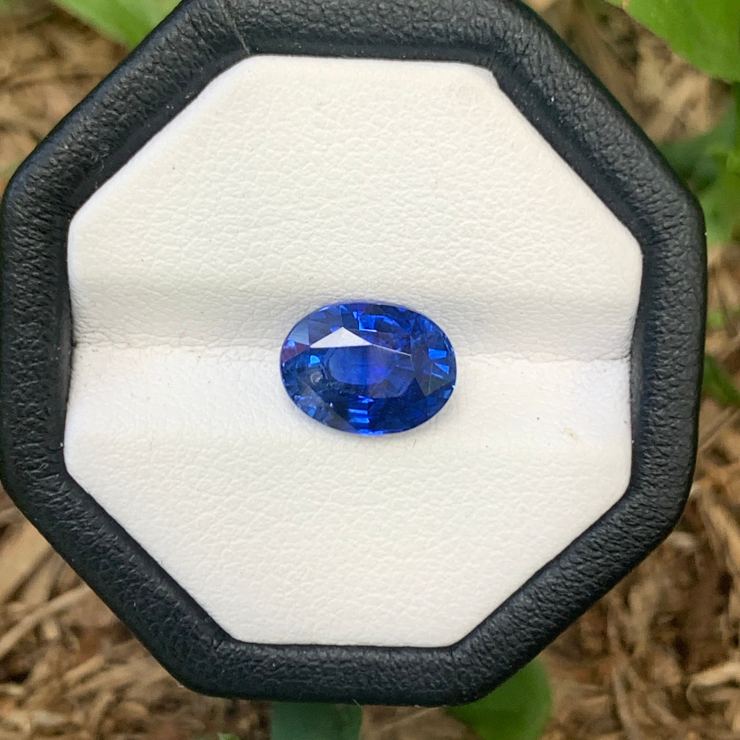 Unheated Cornflower Blue Sapphire 5.56 ct Oval – Sri Lanka