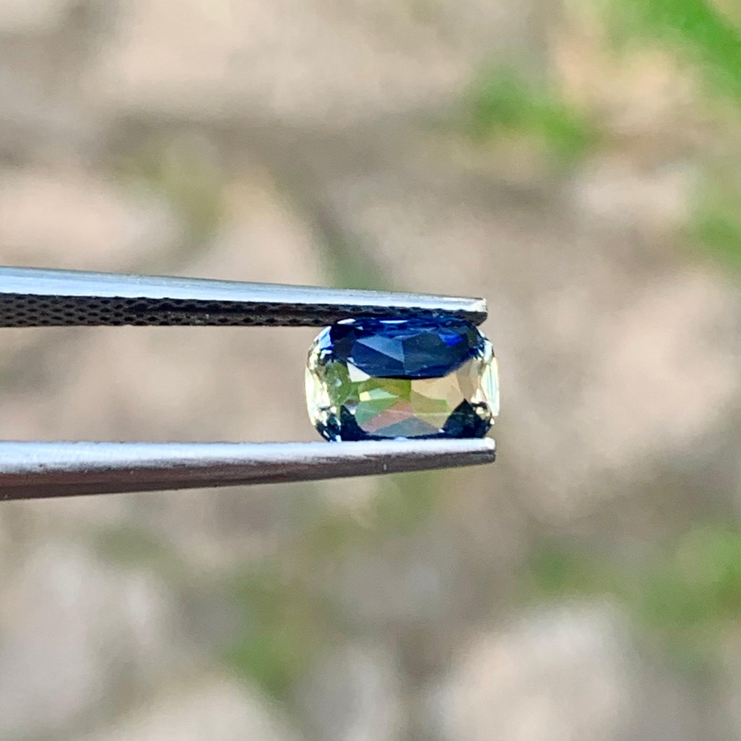 Natural Bi-Color Sapphire - 1.61ct Unheated Sapphire - Ceylon Origin