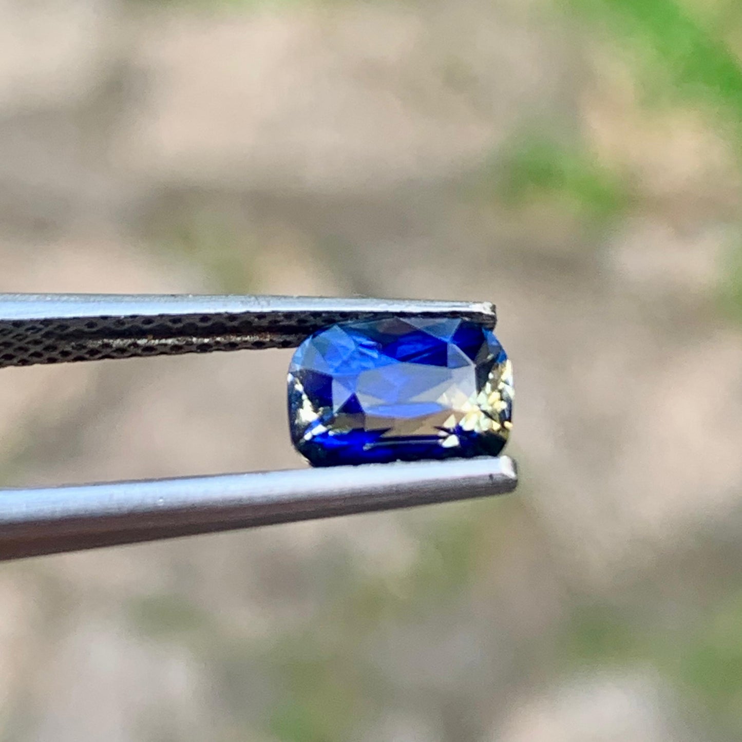 Natural Bi-Color Sapphire - 1.61ct Unheated Sapphire - Ceylon Origin