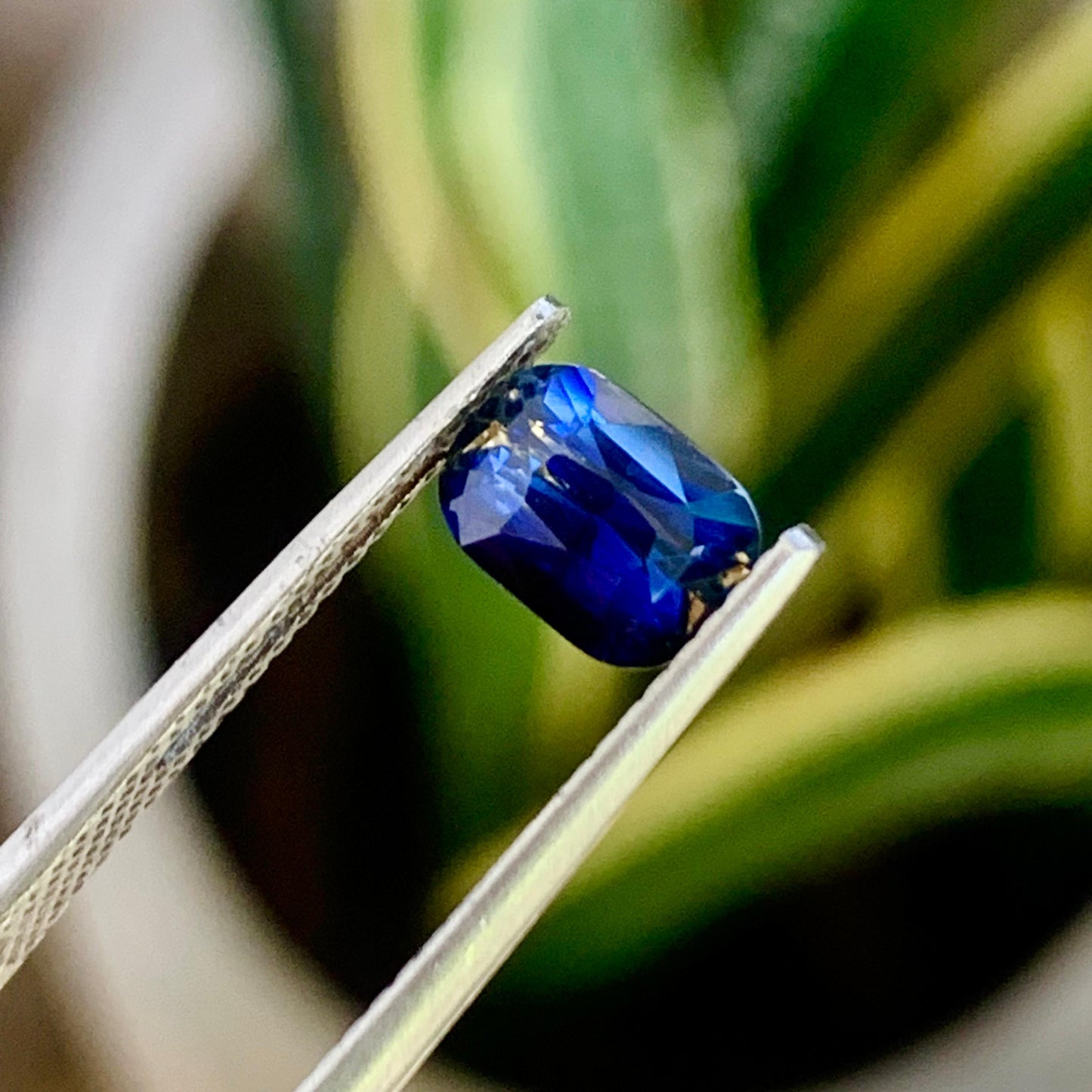 Natural Bi-Color Sapphire - 1.61ct Unheated Sapphire - Ceylon Origin