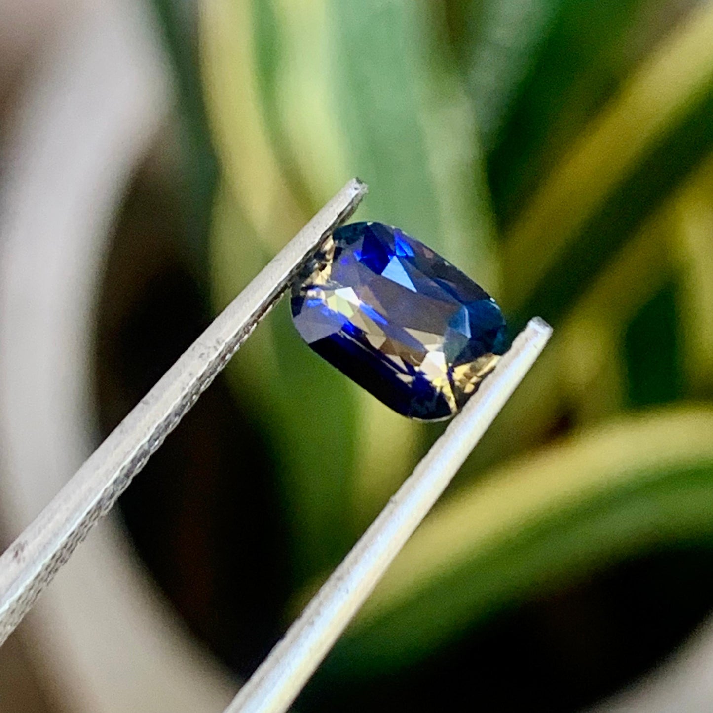Natural Bi-Color Sapphire - 1.61ct Unheated Sapphire - Ceylon Origin