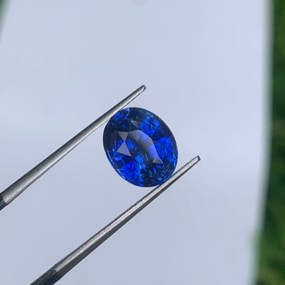 5.54 Ct Flawless Cornflower Blue Sapphire | Ceylon Origin Blue Sapphire