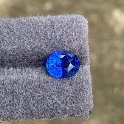 5.54 Ct Flawless Cornflower Blue Sapphire | Ceylon Origin Blue Sapphire