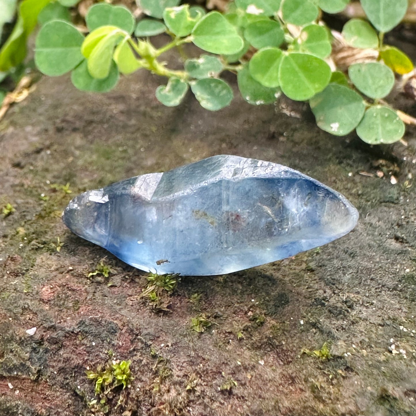 Natural Blue Sapphire Crystal 16.75 Ct – Healing Stone | Glassy Body | Rare Collector’s Gem"