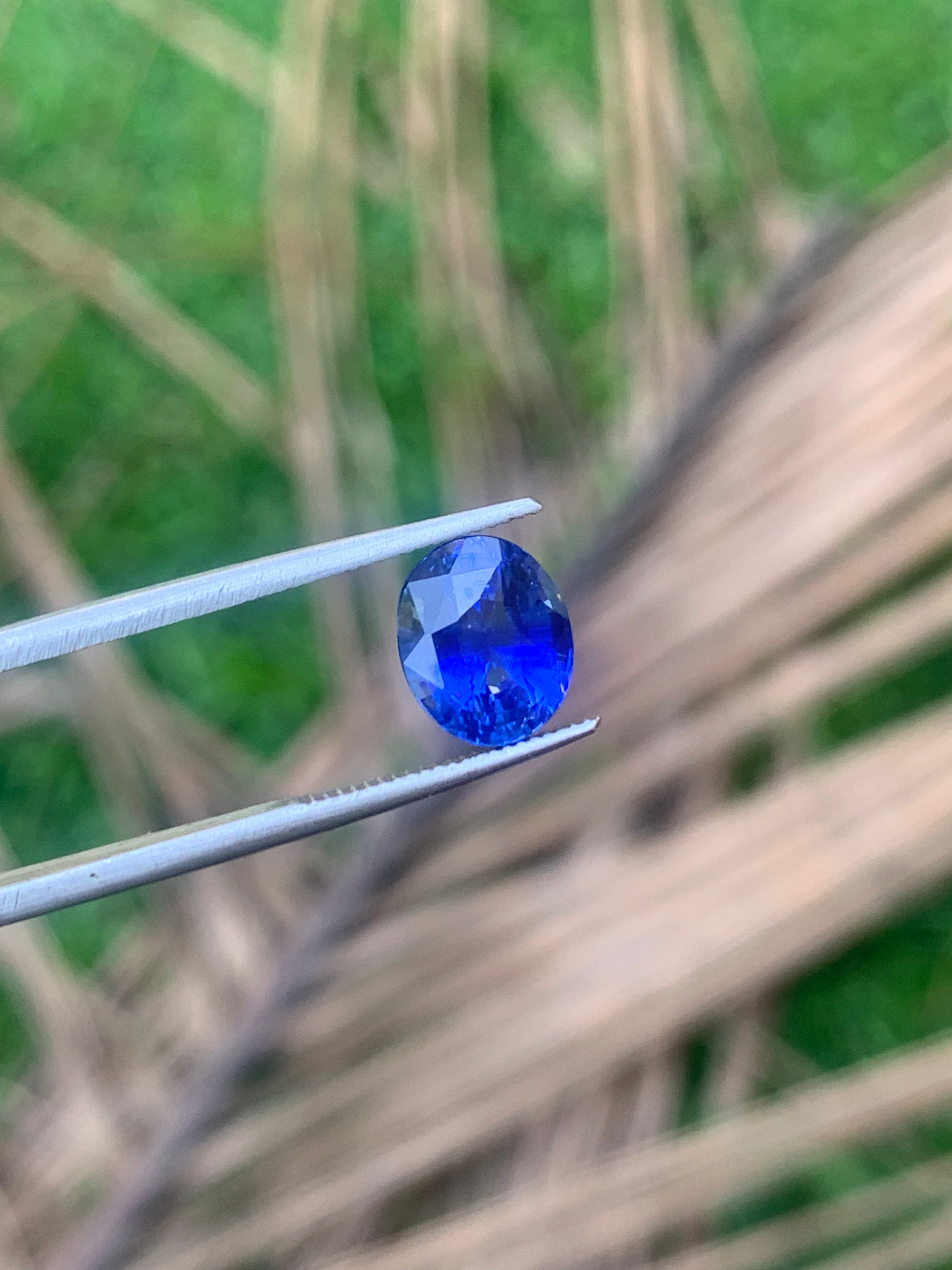 Royal Blue Sapphire 3.05 ct Oval – Sri Lanka