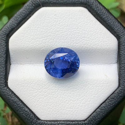 Unheated Cornflower Blue Sapphire 5.10 ct Oval – Sri Lanka