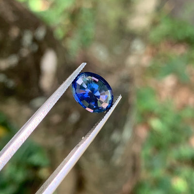 Unheated Cornflower Blue Sapphire 5.56 ct Oval – Sri Lanka