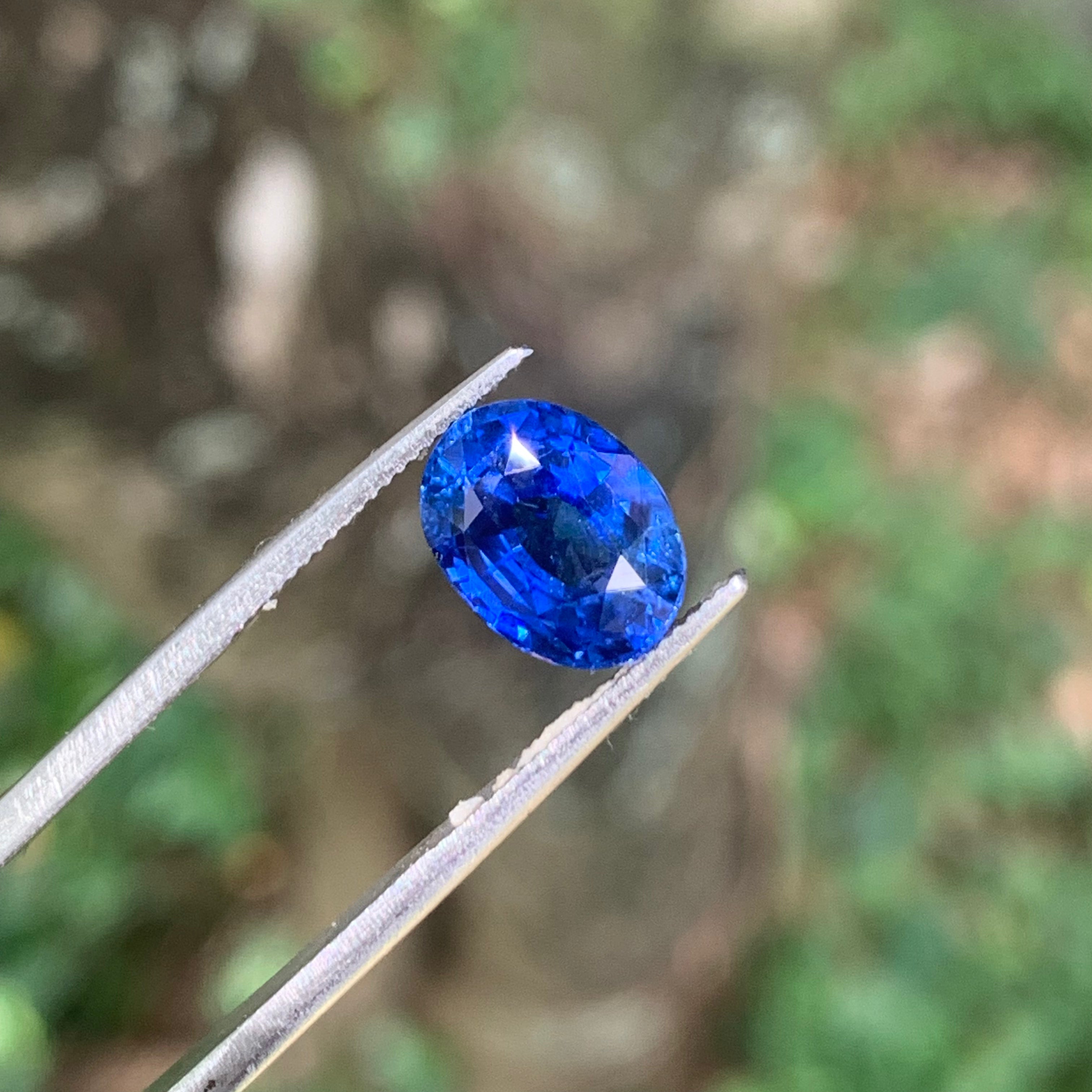 Unheated Cornflower Blue Sapphire 5.56 ct Oval – Sri Lanka