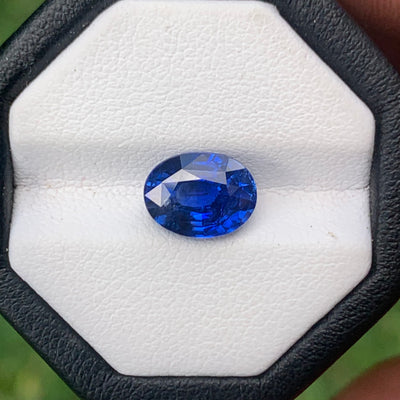 Unheated Cornflower Blue Sapphire 5.56 ct Oval – Sri Lanka