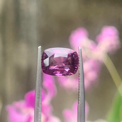 Natural Pink Sapphire - 2.53ct Heated Ceylon Rectangular Cushion