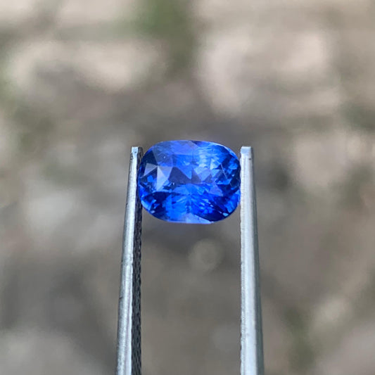 Natural Cornflower Blue Sapphire - 1.61ct