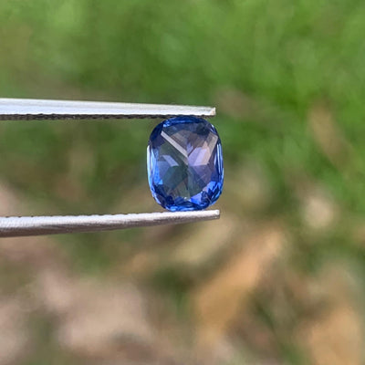 Cornflower Blue Sapphire 1.61ct Cushion - Sri Lanka