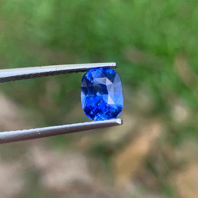 Cornflower Blue Sapphire 1.61ct Cushion - Sri Lanka