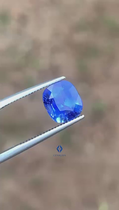 Unheated Cornflower Blue Sapphire 2.56 ct Cushion – Sri Lanka