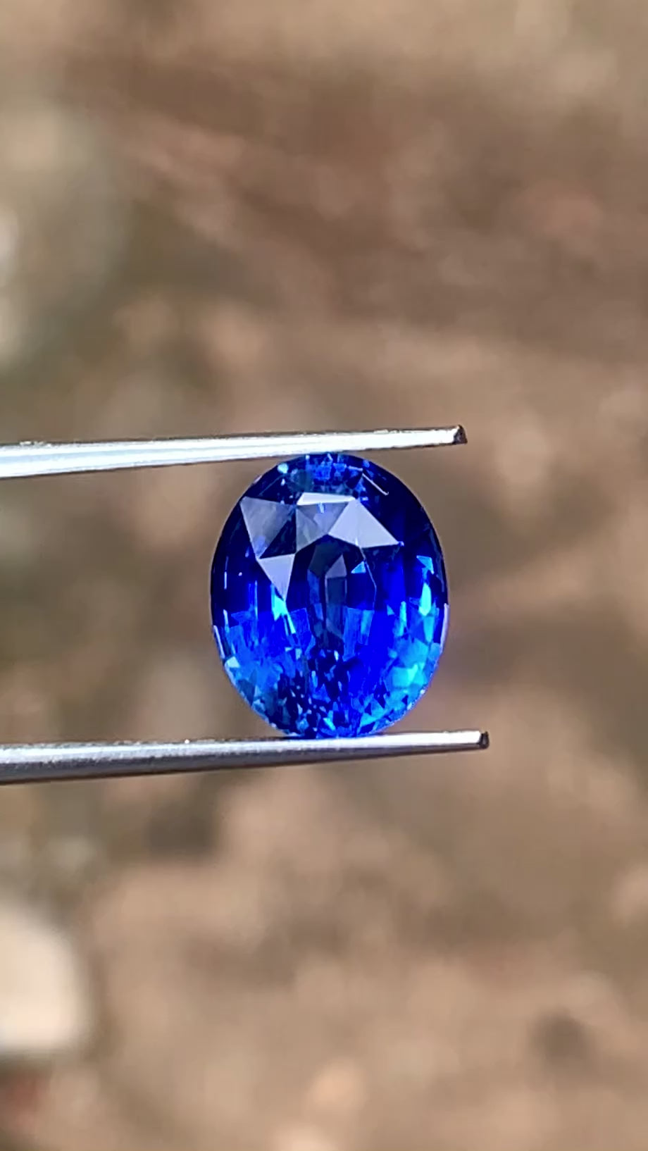 Cornflower Blue Sapphire 5.54 ct Oval – Sri Lanka