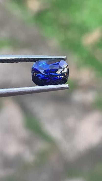 Natural Bi-Color Sapphire - 1.61ct Unheated Sapphire - Ceylon Origin