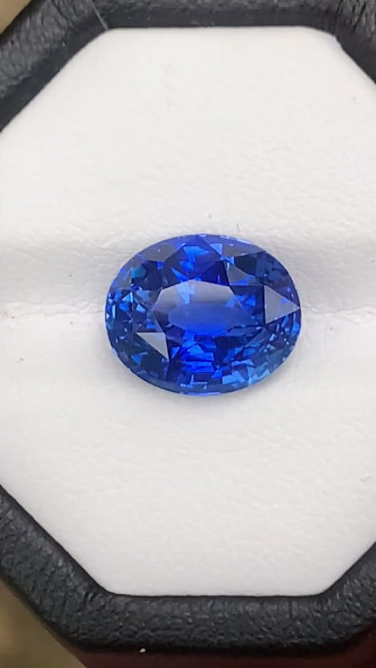 5.54 Ct Flawless Cornflower Blue Sapphire | Ceylon Origin Blue Sapphire