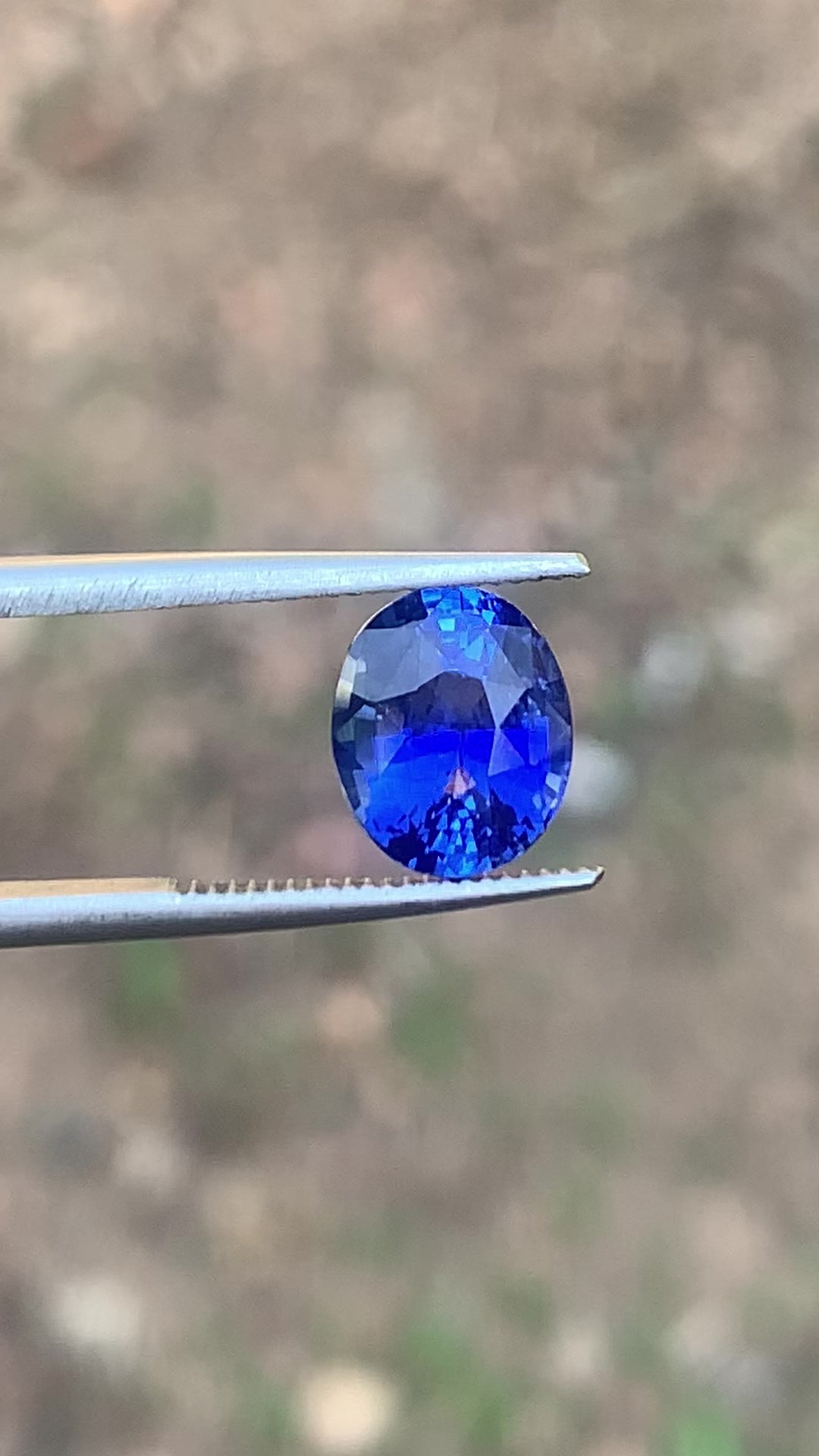 Royal Blue Sapphire 3.05 ct Oval – Sri Lanka