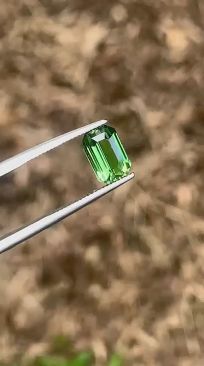 Natural Green Sapphire - 1.69ct Unheated Ceylon Emerald Cut