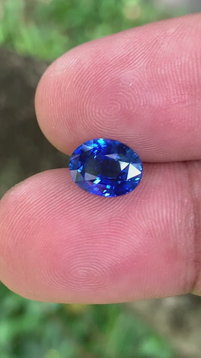 Unheated Cornflower Blue Sapphire 5.56 ct Oval – Sri Lanka