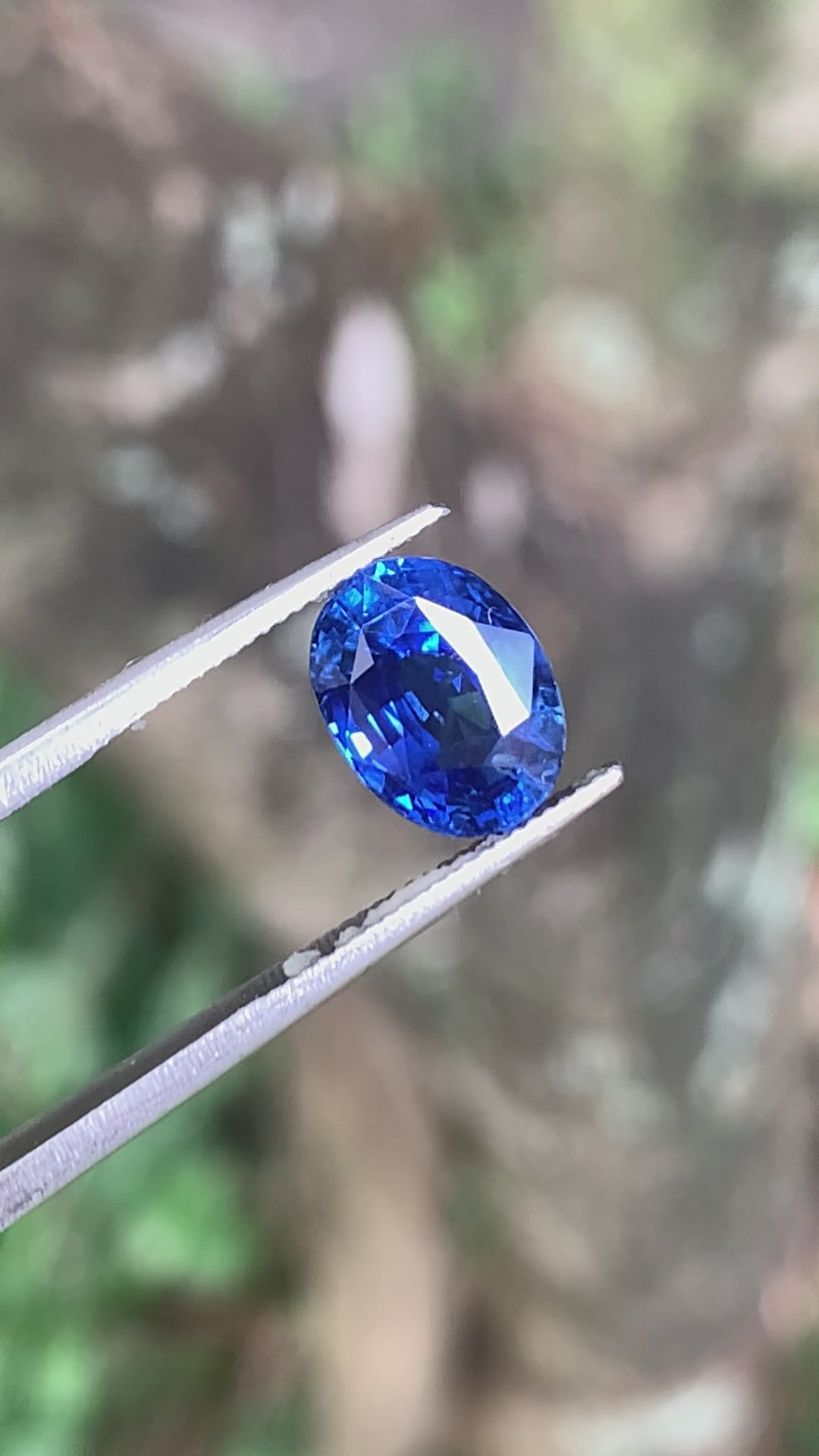 Unheated Cornflower Blue Sapphire 5.56 ct Oval – Sri Lanka